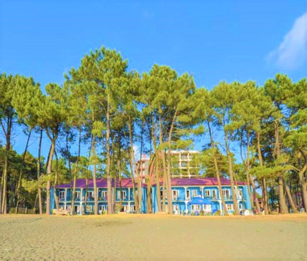 Evrika Hotel Shekvetili Ngoại thất bức ảnh